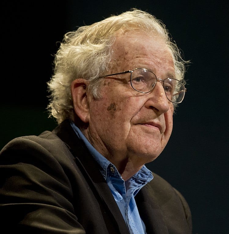 A portrait of linguist Noam Chomsky in 2015